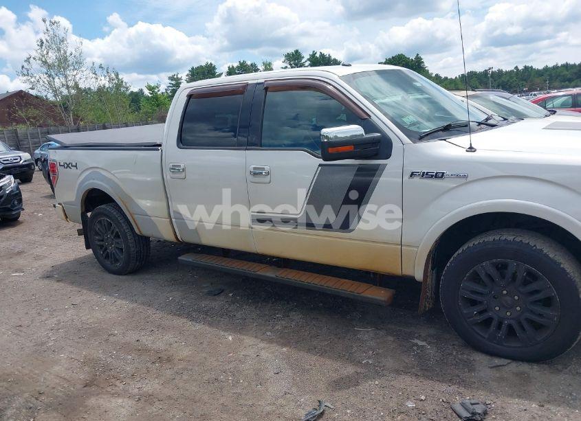 Photo 13 of 2010 Ford F-150 FX4/LARIAT/XL/XLT (VIN 1FTFW1EVXAFD58384)