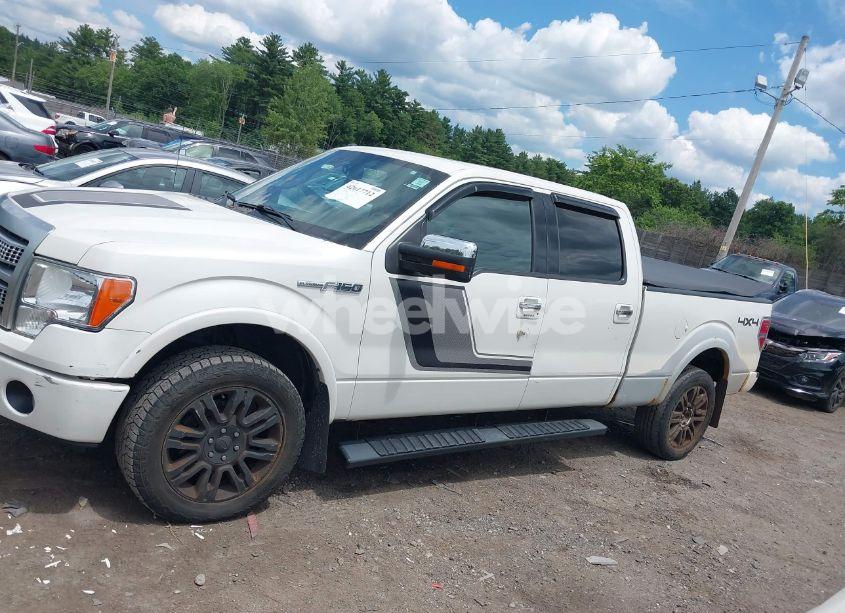 Photo 14 of 2010 Ford F-150 FX4/LARIAT/XL/XLT (VIN 1FTFW1EVXAFD58384)