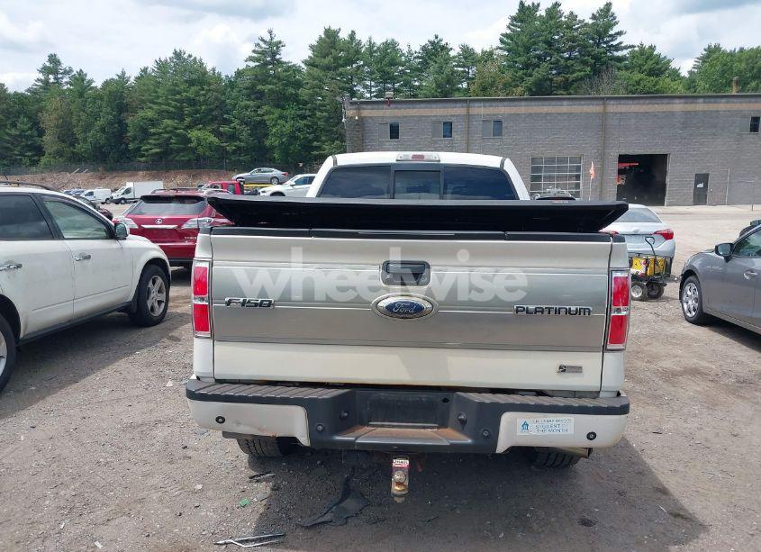 Photo 16 of 2010 Ford F-150 FX4/LARIAT/XL/XLT (VIN 1FTFW1EVXAFD58384)