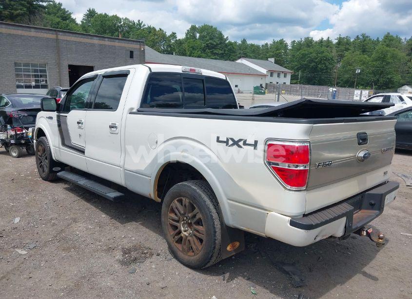 Photo 3 of 2010 Ford F-150 FX4/LARIAT/XL/XLT (VIN 1FTFW1EVXAFD58384)