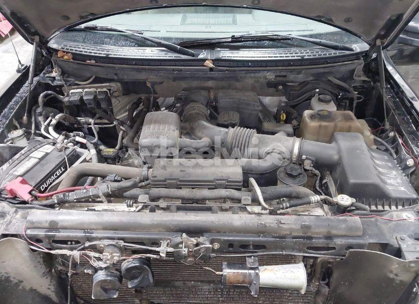 Photo 10 of 2010 Ford F-150 FX4/HARLEY-DAVIDSON/KING RANCH/LARIAT/PLATINUM/XL/XLT (VIN 1FTFW1EVXAFD81048)