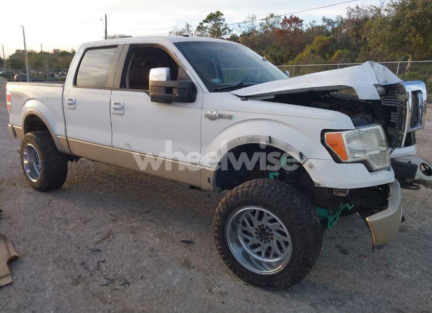 2010 Ford F-150 FX4/HARLEY-DAVIDSON/KING RANCH/LARIAT/PLATINUM/XL/XLT (VIN 1FTFW1EVXAKA97524) main photo