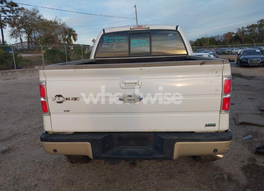 Photo 15 of 2010 Ford F-150 FX4/HARLEY-DAVIDSON/KING RANCH/LARIAT/PLATINUM/XL/XLT (VIN 1FTFW1EVXAKA97524)