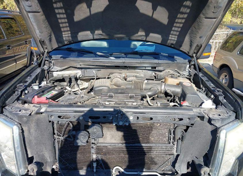 Photo 10 of 2010 Ford F-150 FX4/HARLEY-DAVIDSON/KING RANCH/LARIAT/PLATINUM/XL/XLT (VIN 1FTFW1EVXAKE53583)