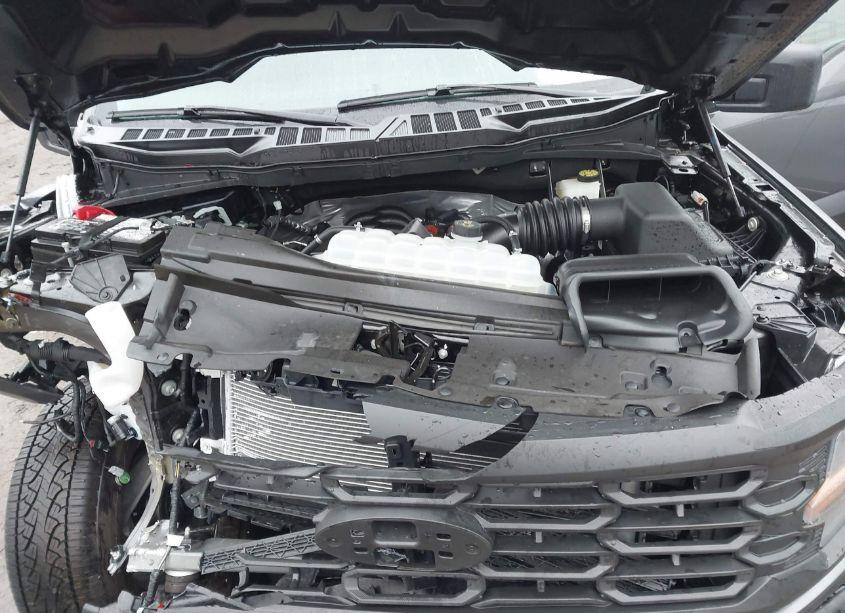 Photo 10 of 2024 Ford F-150 XL (VIN 1FTFW1L53RKD82824)
