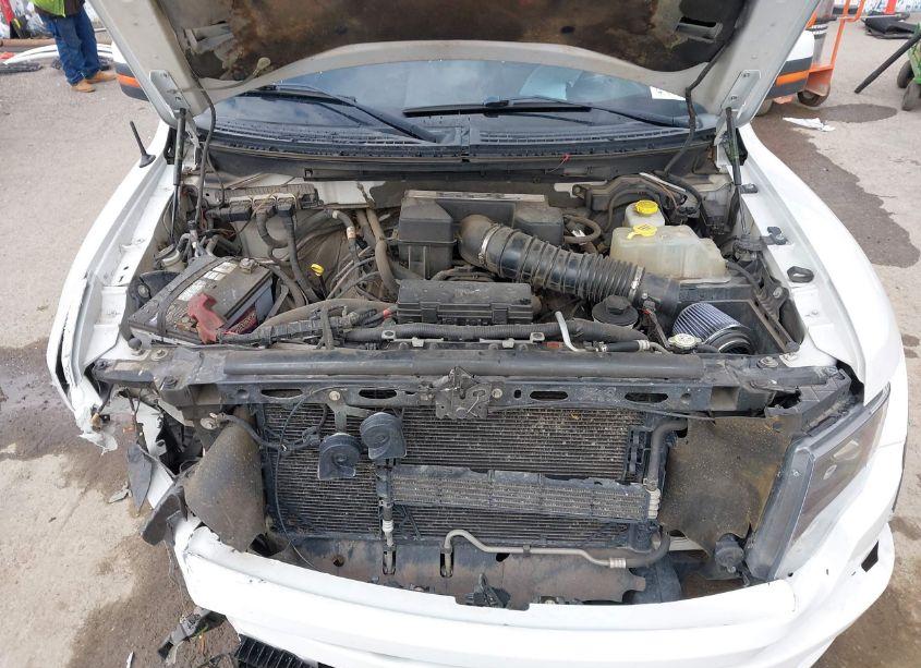 Photo 10 of 2014 Ford F-150 SVT RAPTOR (VIN 1FTFW1R63EFB57676)