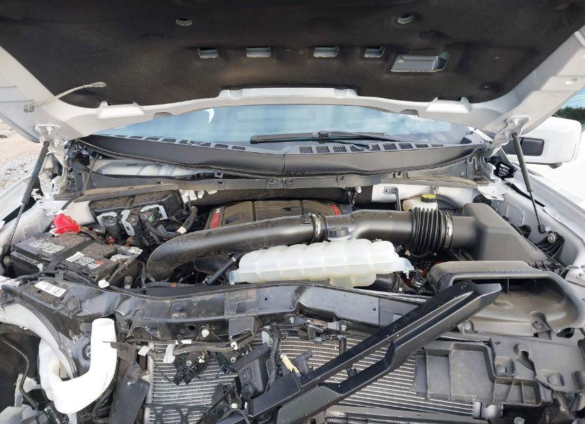 Photo 10 of 2024 Ford F-150 RAPTOR (VIN 1FTFW1RG0RFB77737)