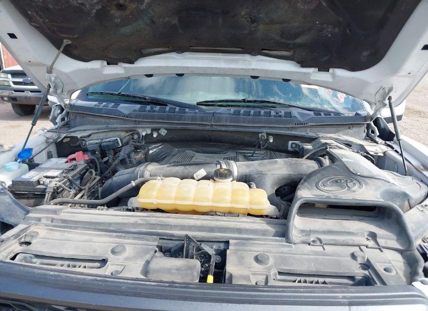 Photo 10 of 2017 Ford F-150 RAPTOR (VIN 1FTFW1RG1HFA31104)