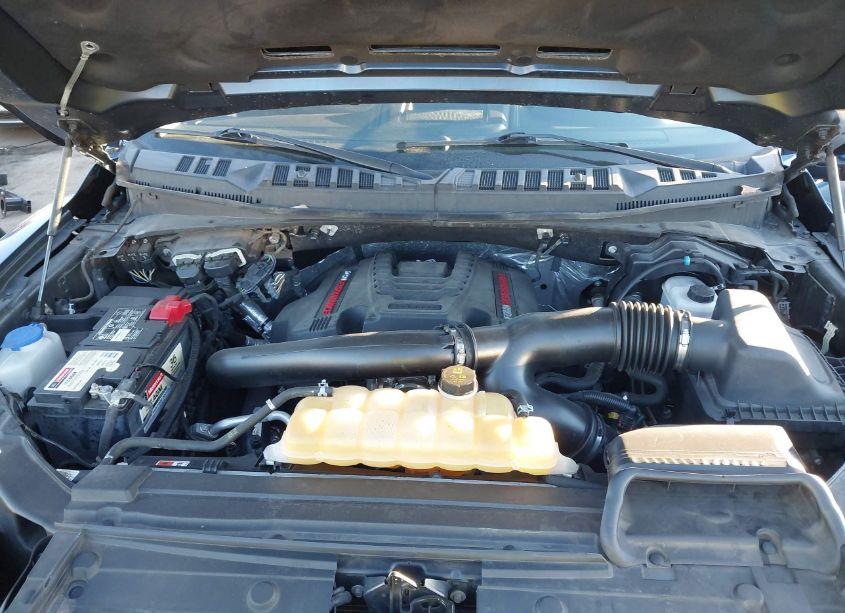 Photo 10 of 2019 Ford F-150 RAPTOR (VIN 1FTFW1RG1KFA06923)