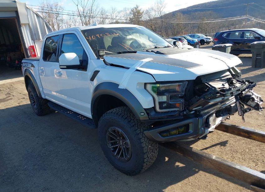 2019 Ford F-150 RAPTOR (VIN 1FTFW1RG2KFC74024) main photo