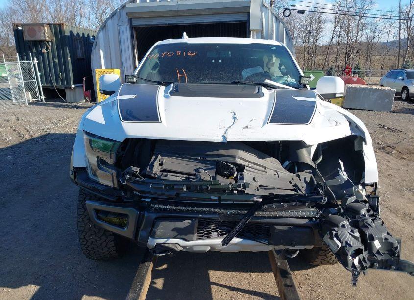Photo 12 of 2019 Ford F-150 RAPTOR (VIN 1FTFW1RG2KFC74024)