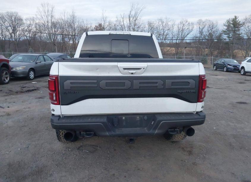 Photo 16 of 2019 Ford F-150 RAPTOR (VIN 1FTFW1RG2KFC74024)
