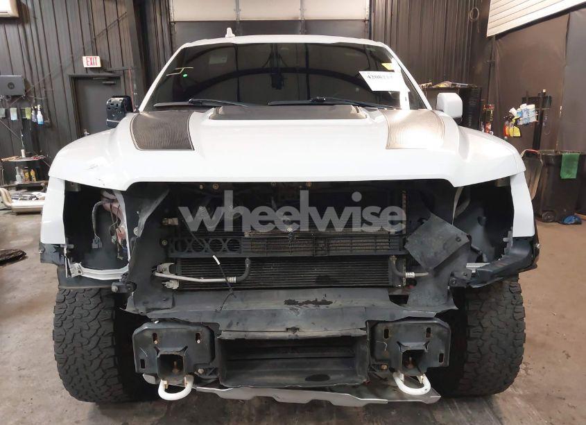 Photo 6 of 2019 Ford F-150 RAPTOR (VIN 1FTFW1RG3KFC98445)