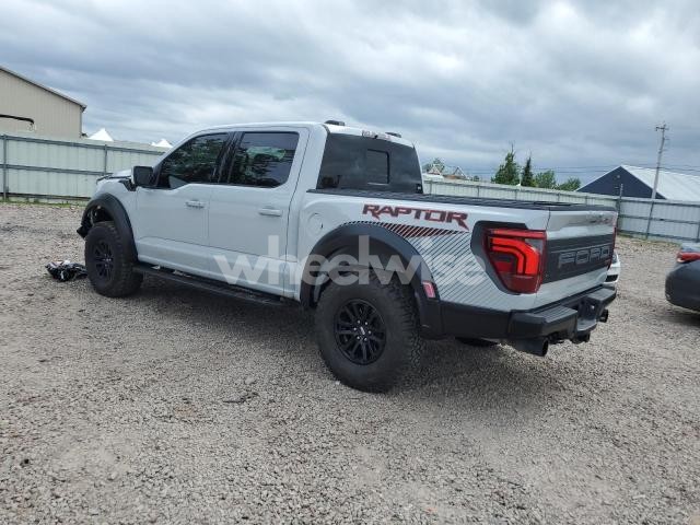 2024 FORD F150 RAPTOR (VIN 1FTFW1RG9RFB36541) main photo