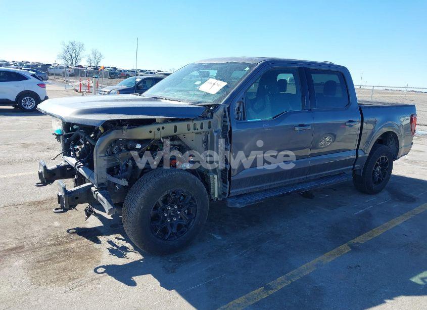 Photo 19 of 2024 Ford F-150 XLT (VIN 1FTFW3L52RKD71650)