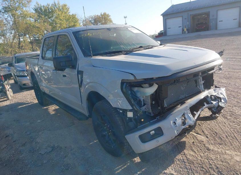 2024 Ford F-150 XLT (VIN 1FTFW3L54RKE40502) main photo