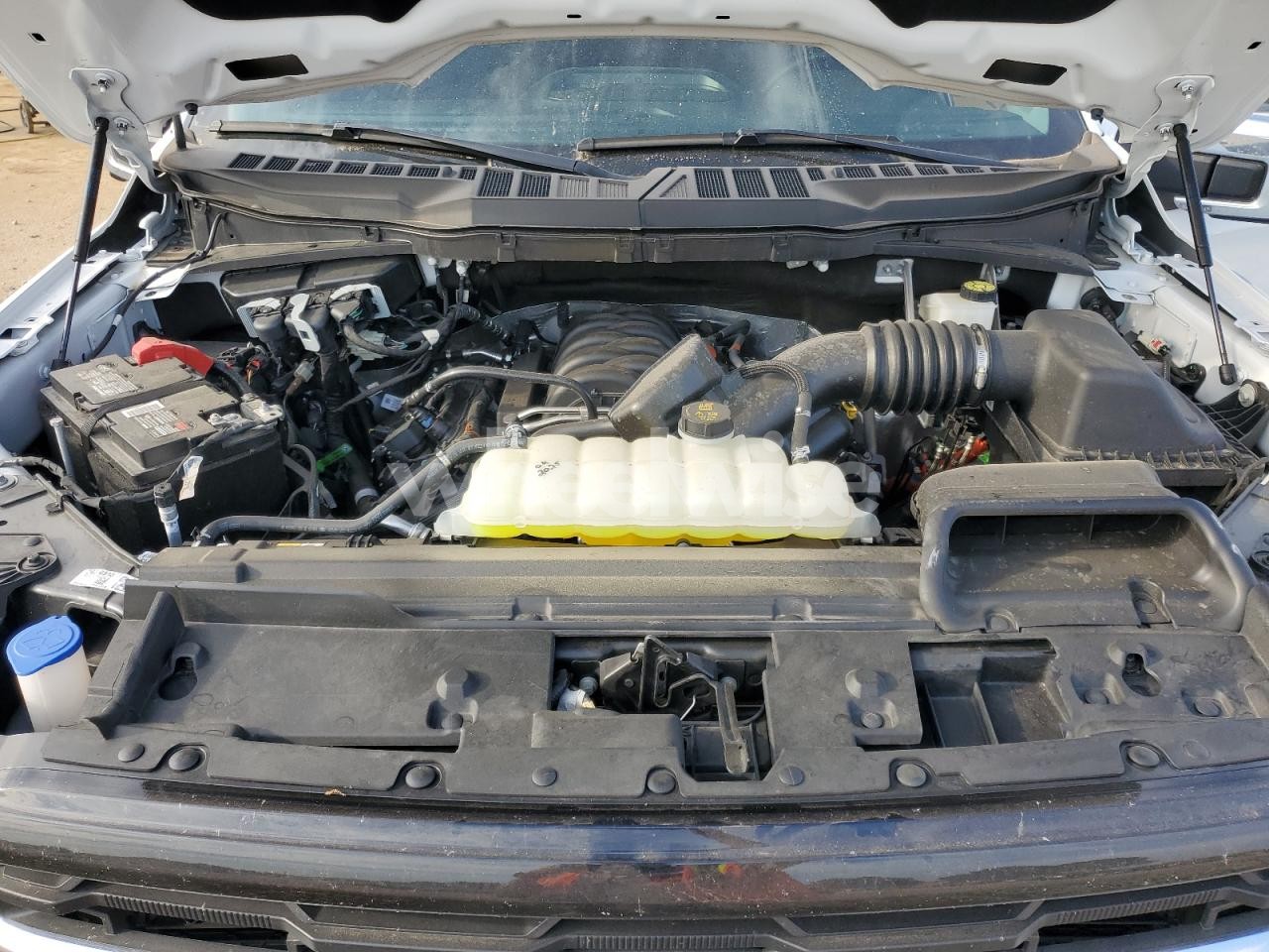 Photo 11 of 2024 FORD F150 XLT (VIN 1FTFW3L5XRKE17452)