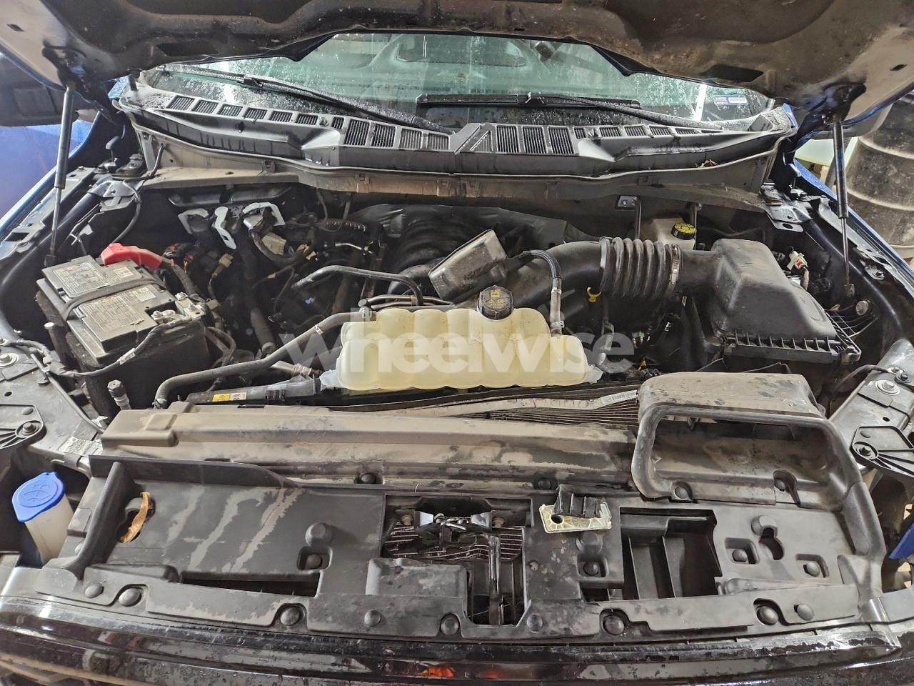 Photo 11 of 2025 FORD F150 XLT (VIN 1FTFW3L5XSKE01211)