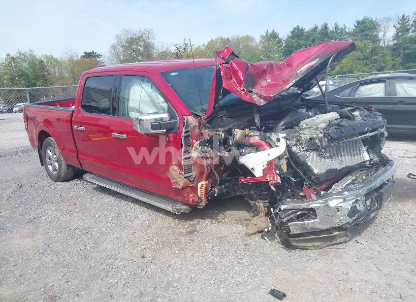 2024 Ford F-150 XLT (VIN 1FTFW3L80RKD08038) main photo