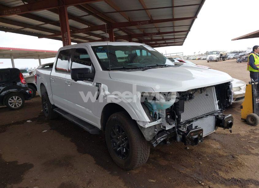 2024 Ford F-150 XLT (VIN 1FTFW3L81RKF03565) main photo