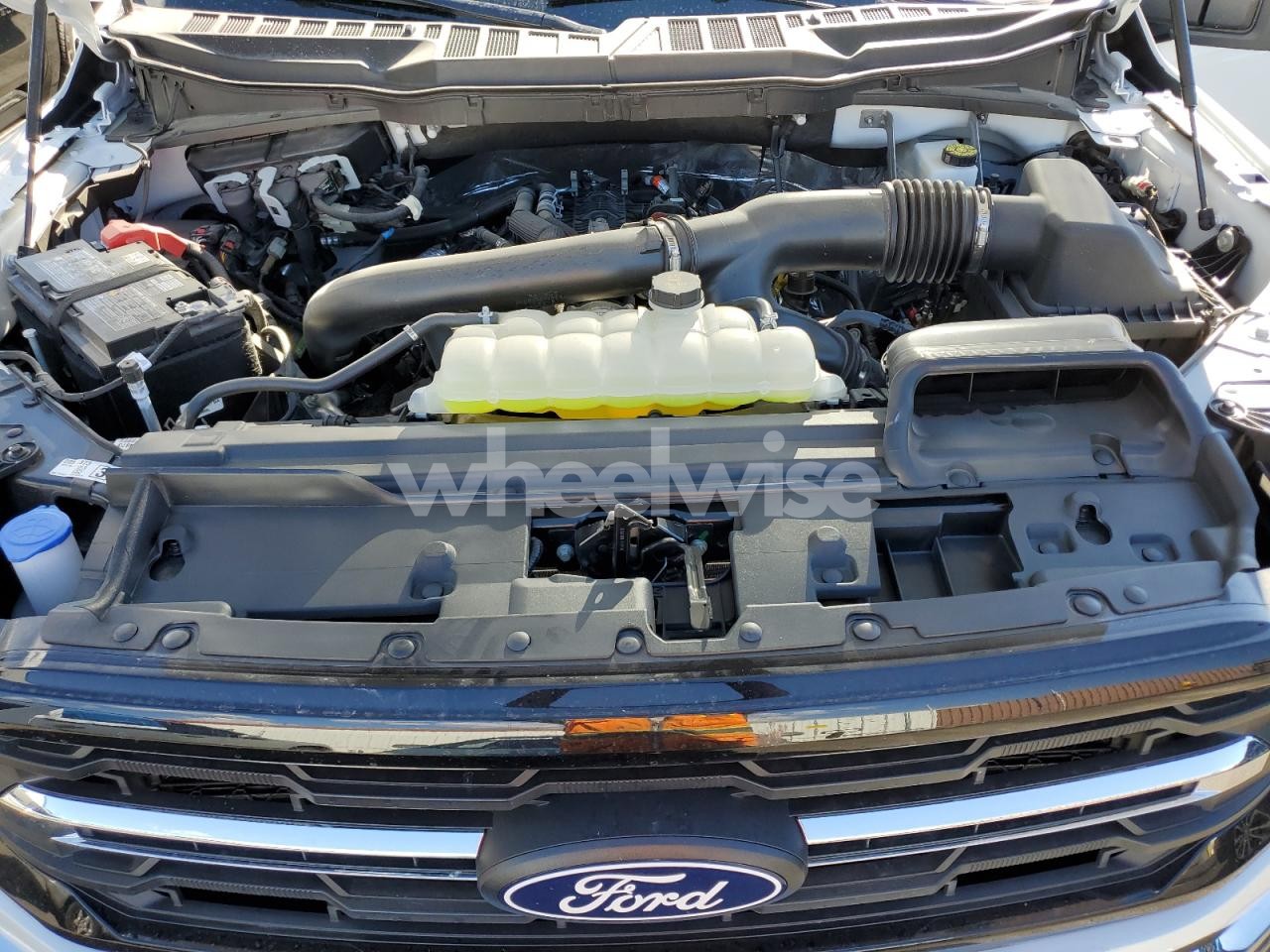 Photo 11 of 2025 FORD F150 XLT (VIN 1FTFW3L81SKE86577)