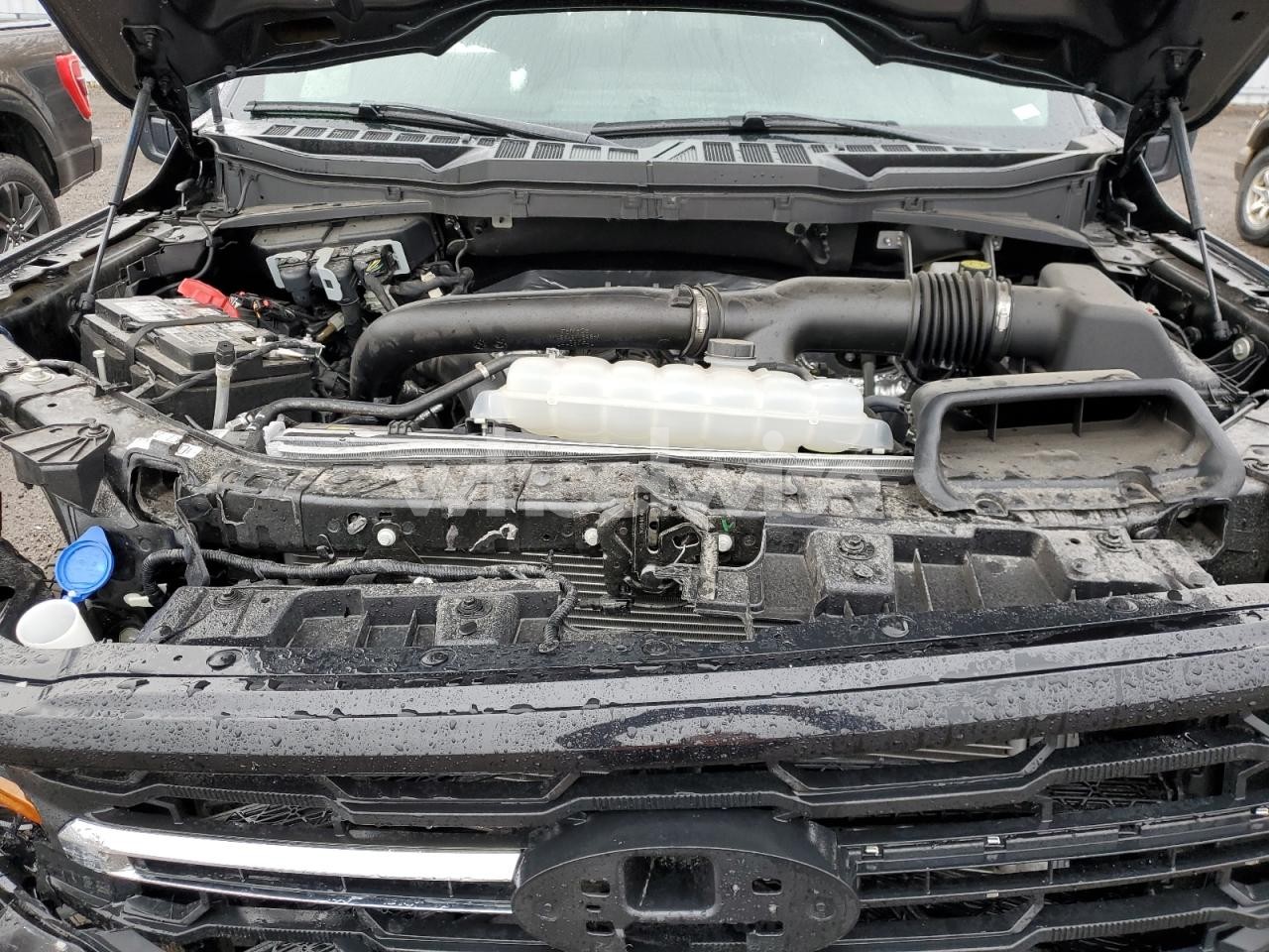 Photo 11 of 2025 FORD F150 XLT (VIN 1FTFW3L86SKE61819)