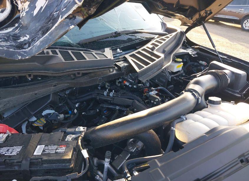 Photo 10 of 2024 Ford F-150 XLT (VIN 1FTFW3L88RKE35796)