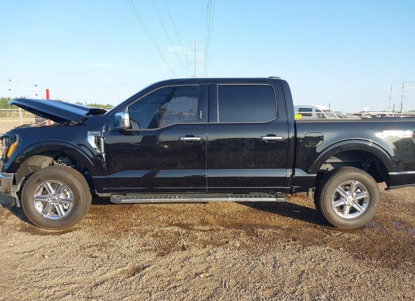 Photo 15 of 2024 Ford F-150 XLT (VIN 1FTFW3L88RKE35796)