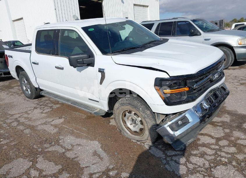 2024 Ford F-150 XLT (VIN 1FTFW3LD0RFA06447) main photo