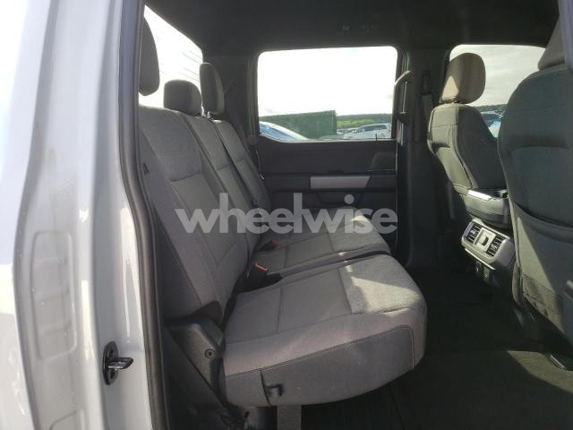 2024 FORD F150 XLT (VIN 1FTFW3LD1RFA02813) main photo