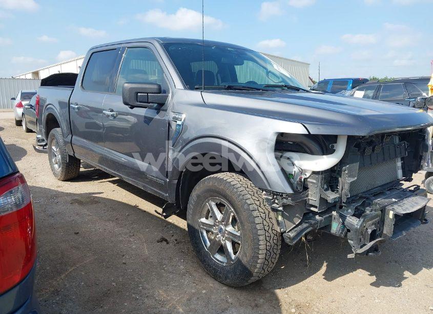 2024 Ford F-150 XLT (VIN 1FTFW3LD2RFA75933) main photo