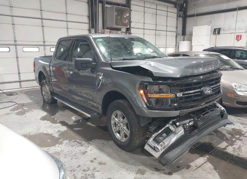 2024 Ford F-150 XLT (VIN 1FTFW3LD3RFA44173) main photo