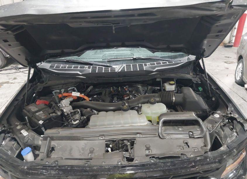 Photo 10 of 2024 Ford F-150 XLT (VIN 1FTFW3LD3RFA44173)