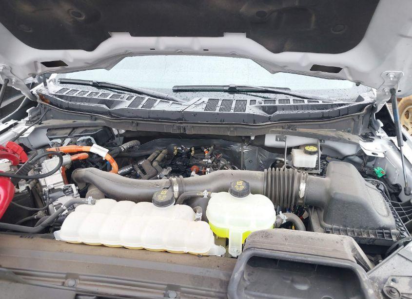 Photo 10 of 2024 Ford F-150 XLT (VIN 1FTFW3LD3RFA45002)