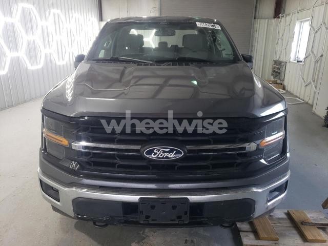 2024 FORD F150 XLT (VIN 1FTFW3LD3RFA75505) main photo
