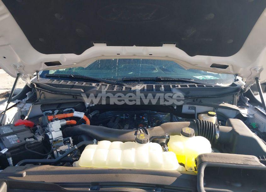 Photo 10 of 2024 Ford F-150 XLT (VIN 1FTFW3LD3RFB12441)