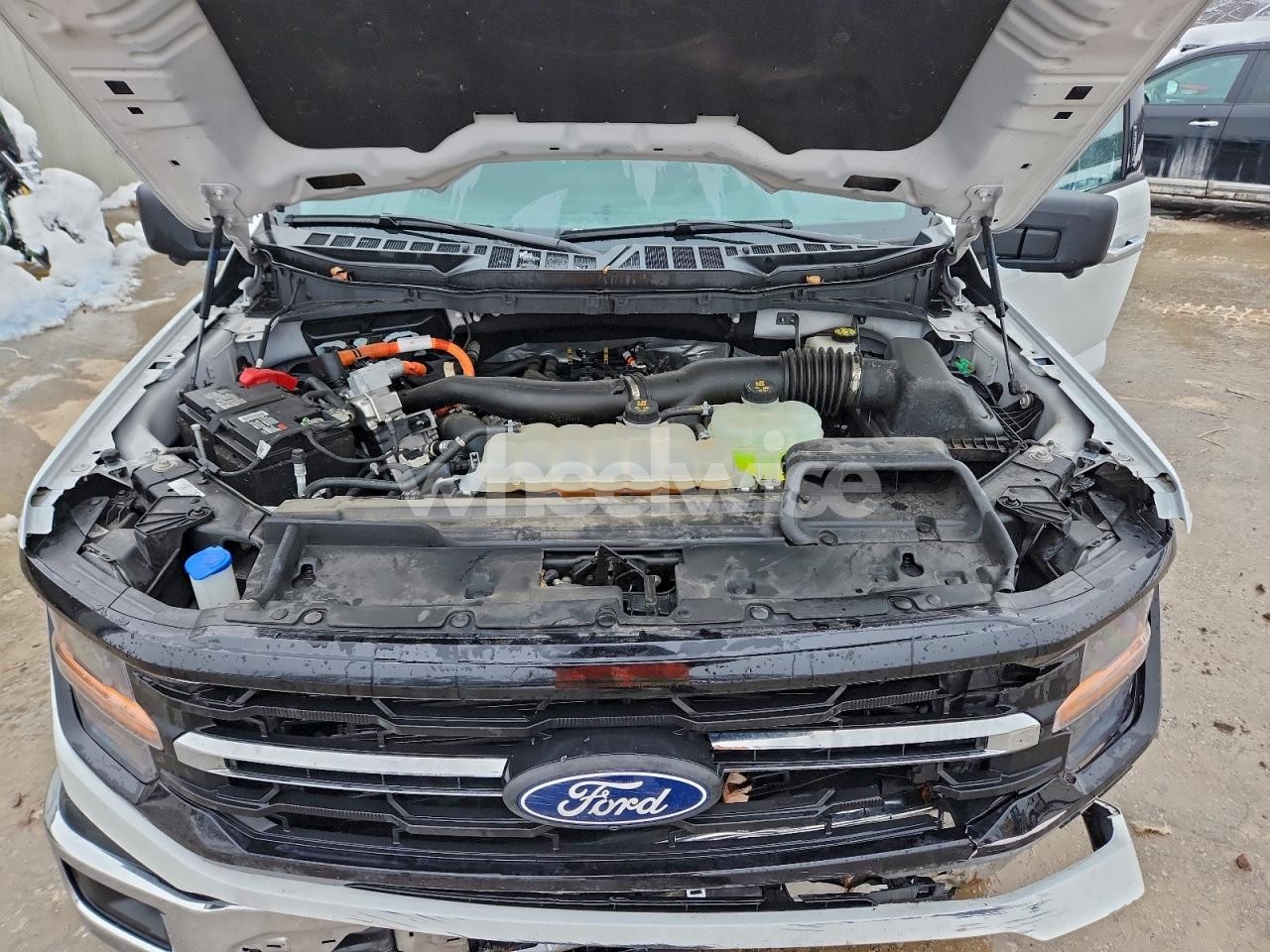 Photo 11 of 2024 FORD F150 XLT (VIN 1FTFW3LD4RFA04202)