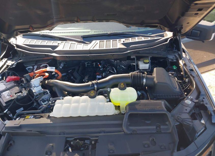 Photo 10 of 2024 Ford F-150 XLT (VIN 1FTFW3LD4RFB33783)