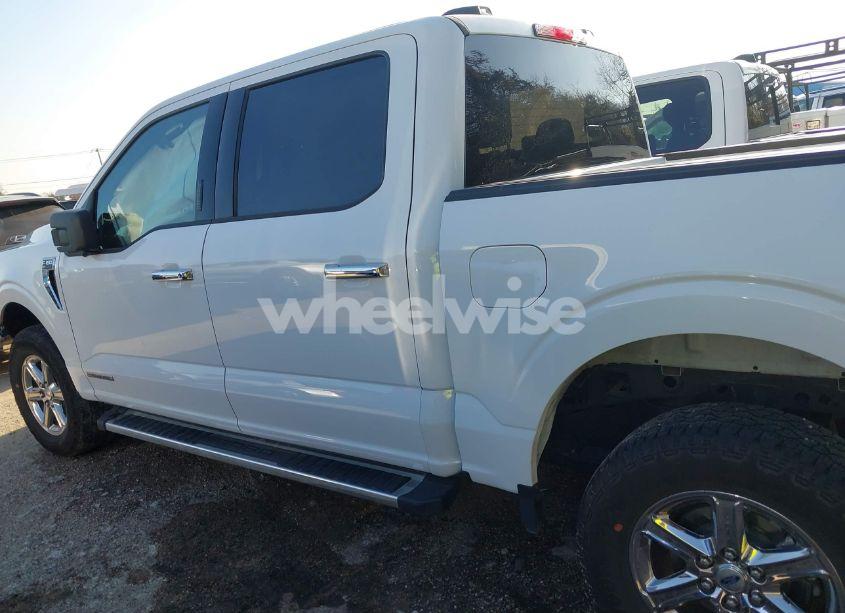 Photo 14 of 2024 Ford F-150 XLT (VIN 1FTFW3LD5RFA06606)