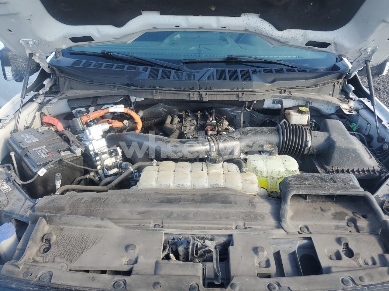 Photo 11 of 2024 FORD F150 XLT (VIN 1FTFW3LD5RFA08100)