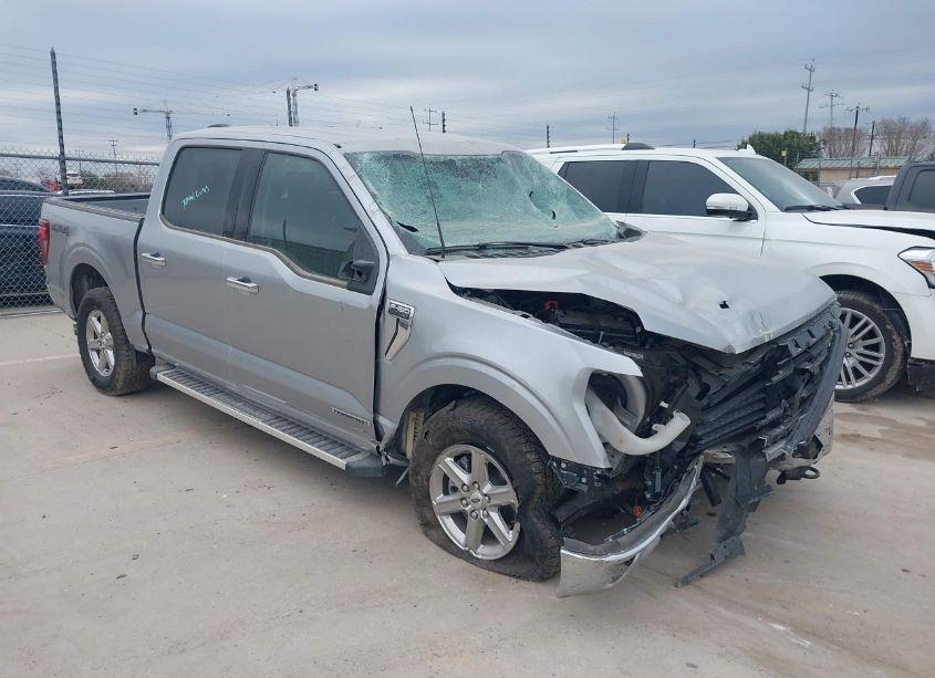 2024 Ford F-150 XLT (VIN 1FTFW3LD5RFA48810) main photo