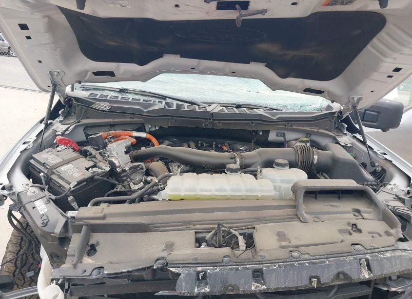 Photo 10 of 2024 Ford F-150 XLT (VIN 1FTFW3LD5RFA48810)