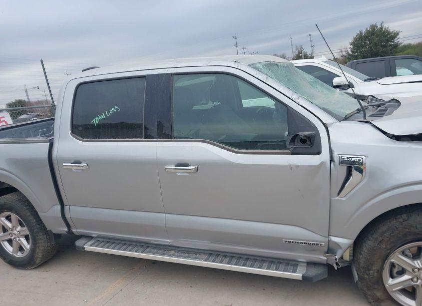 Photo 14 of 2024 Ford F-150 XLT (VIN 1FTFW3LD5RFA48810)