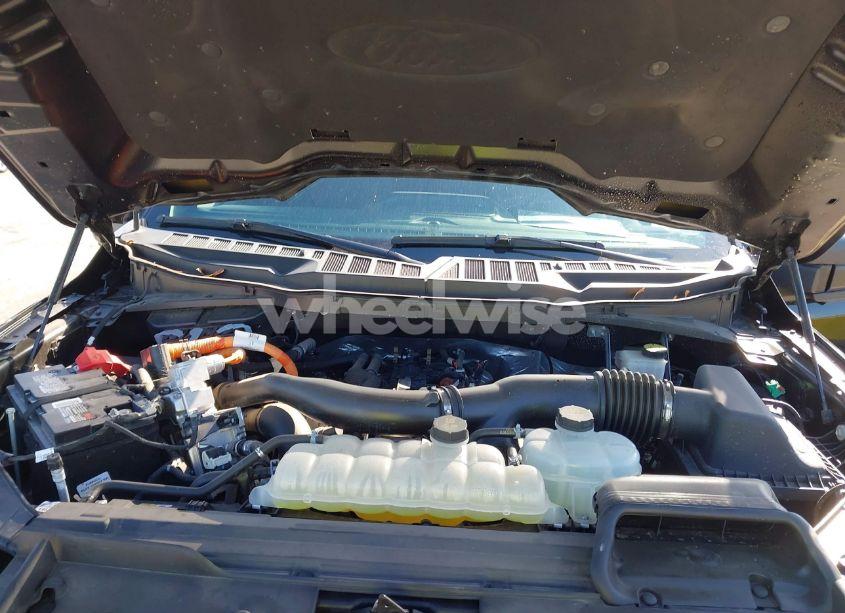 Photo 10 of 2024 Ford F-150 XLT (VIN 1FTFW3LD6RFA03875)