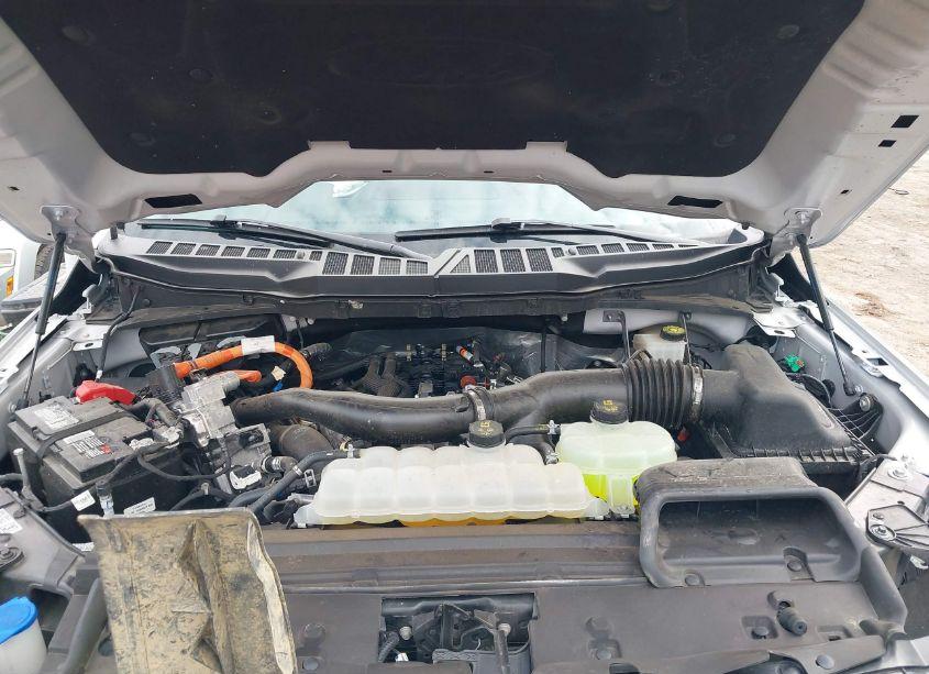 Photo 10 of 2024 Ford F-150 XLT (VIN 1FTFW3LD6RFA43521)