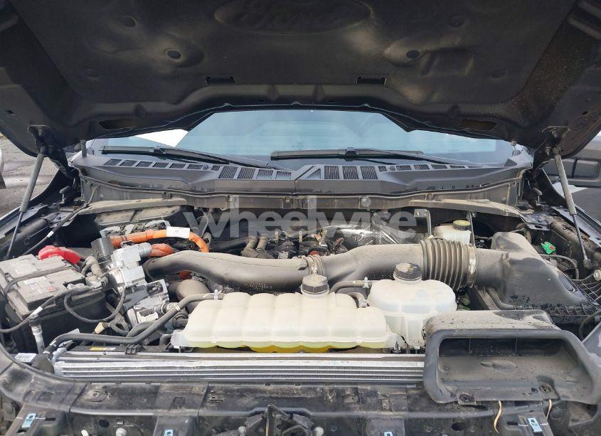 Photo 10 of 2024 Ford F-150 XLT (VIN 1FTFW3LD8RFA30480)