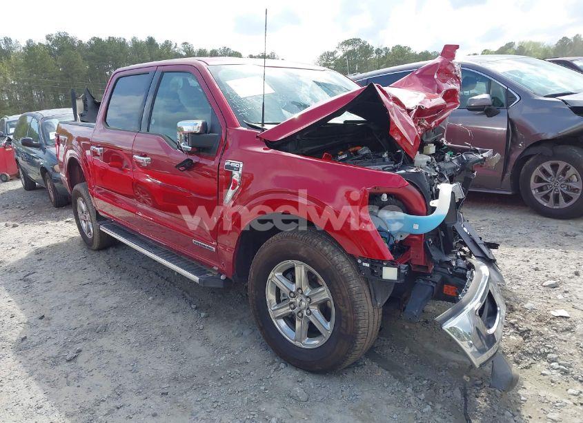 2024 Ford F-150 XLT (VIN 1FTFW3LD8RFA31497) main photo