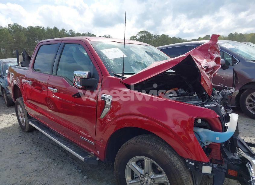 Photo 13 of 2024 Ford F-150 XLT (VIN 1FTFW3LD8RFA31497)