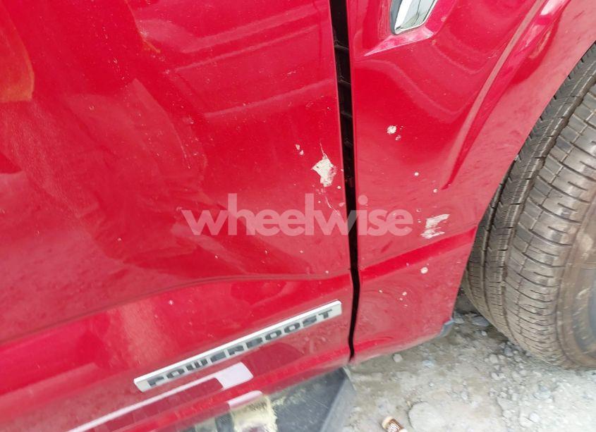 Photo 21 of 2024 Ford F-150 XLT (VIN 1FTFW3LD8RFA31497)