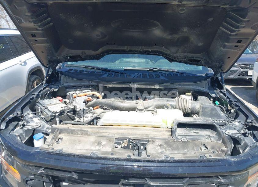 Photo 10 of 2024 Ford F-150 XLT (VIN 1FTFW3LD8RFA48929)